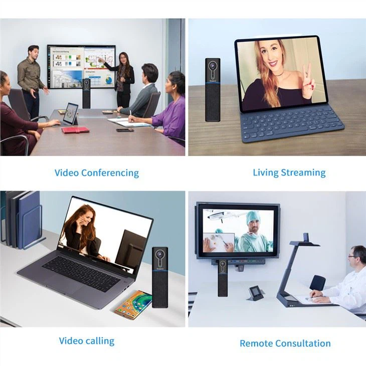 microphone conference system